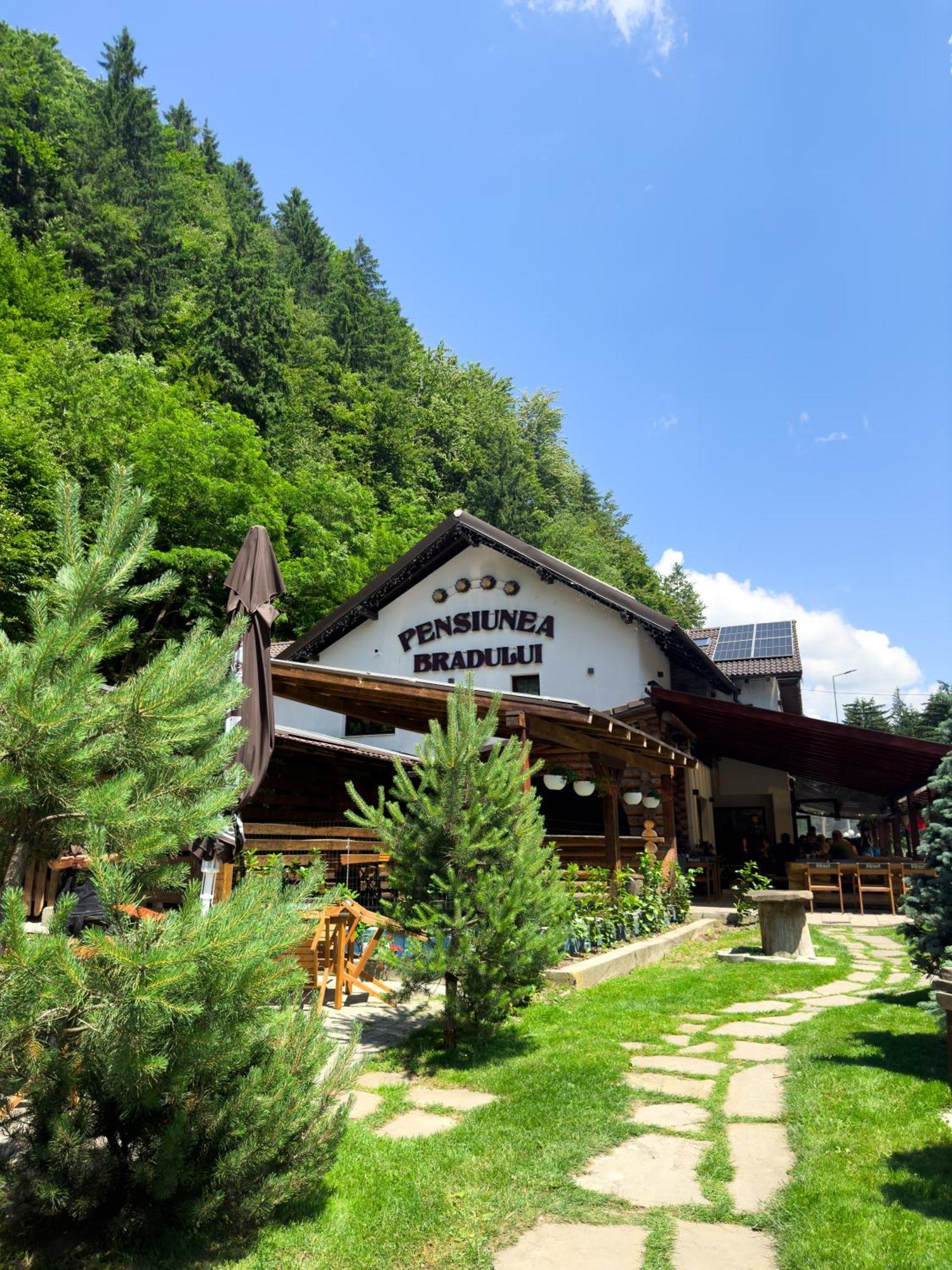 Pensiunea Bradului Colibiţa Exterior foto